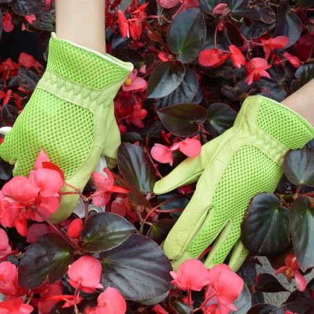 Garden Yard Working Gloves