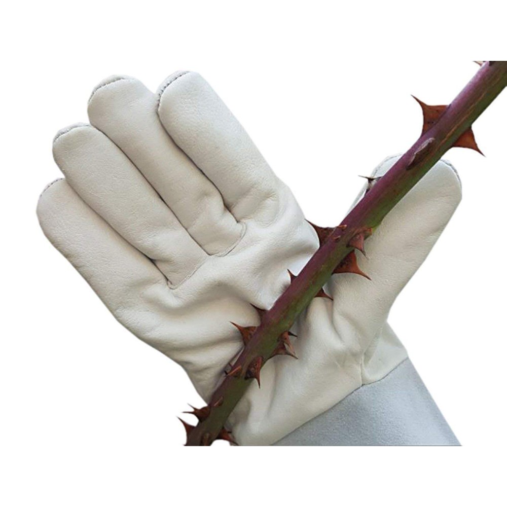 Leather Rose Gardening Gloves