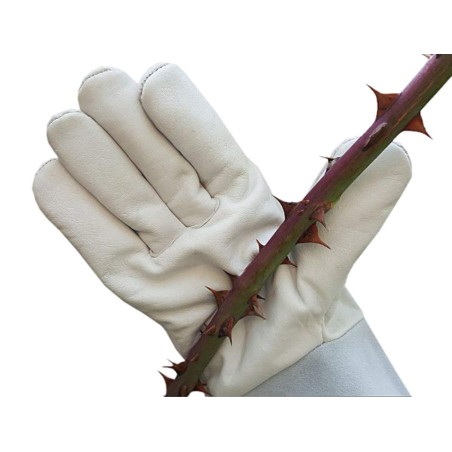 Leather Rose Gardening Gloves