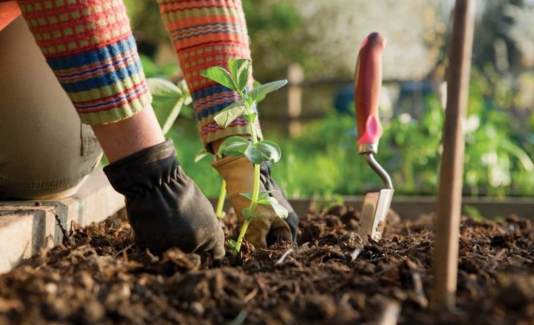 How to Prepare Your Garden for Spring?